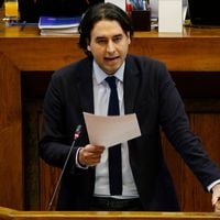 Mirosevic por revuelto clima en la Cámara: “Hay sectores que no respetan el resultado entonces están en una política de producir inestabilidad” 