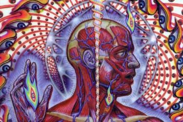 lateralus_tool