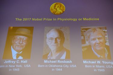 Winners of the 2017 Nobel Prize in Physiology or Medicine (L-R) US tr
