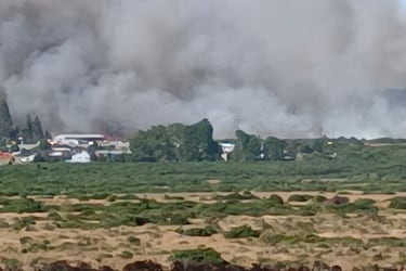 Un incendio forestal de gran extensión amenaza viviendas y el  tendido eléctrico en el sector de Chin-Chin Grande, Puerto Montt