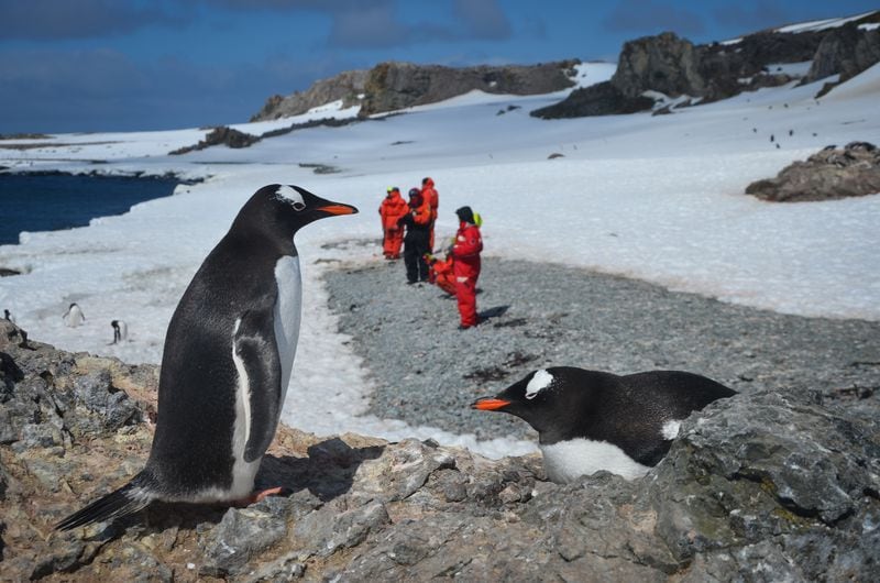 Expedición en la Antártica. Foto: Aerolíneas DAP.