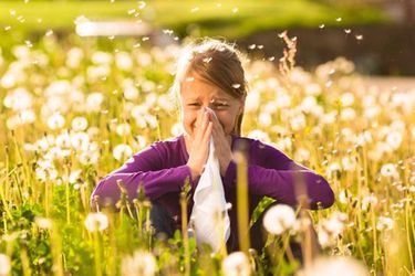 ¿Se curan? ¿Son hereditarias? 10 cosas que debes conocer sobre las alergias estacionales 