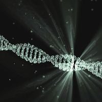 Científicos encuentran los últimos restos del genoma humano en el cromosoma Y, que solo tienen los hombres
