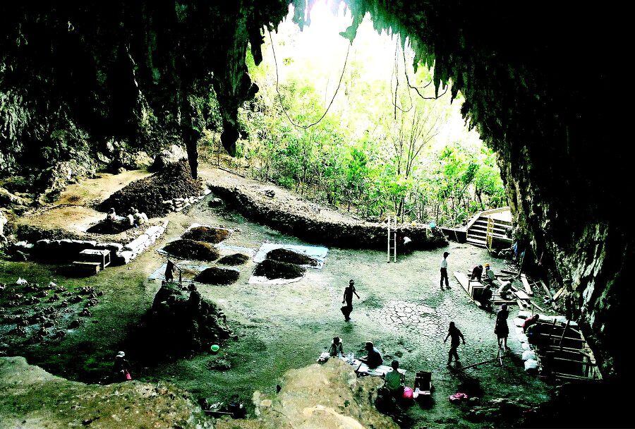 Hay otra especie humana similar al Hobbit escondida en una remota isla? Un antropólogo cree que sí - La Tercera Hay otra especie humana similar al Hobbit escondida en una remota isla? Un antropólogo cree que sí - La Tercera