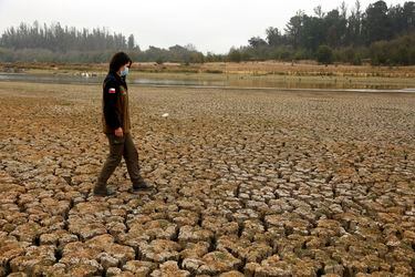 Sequía en Chile: las soluciones que proponen las  startups para enfrentar la crisis