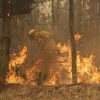 Incendios: Senapred levanta alerta roja en Galvarino y se combate nuevo foco en Dalcahue