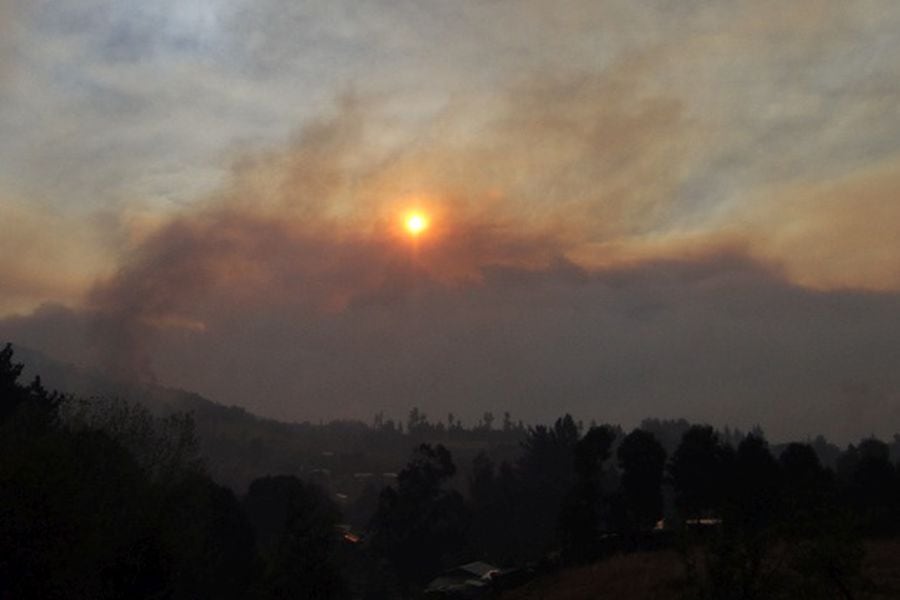 Incendios forestales continuan en Hualqui.
