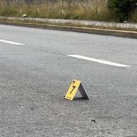 “Tenía las muñecas amarradas y múltiples disparos en su rostro y tórax”: Fiscalía detalla hallazgo de cadáver a un costado de la Ruta 5 Sur en Paine