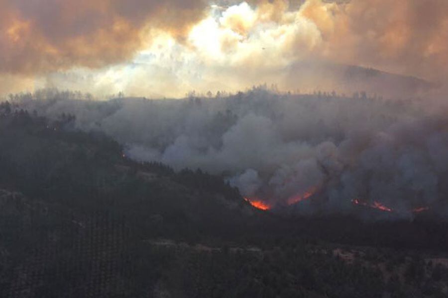 Incendio en Viña del Mar deja al menos 10 casas quemadas La Tercera
