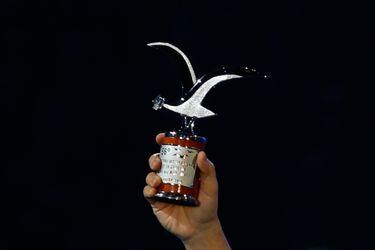 gaviota-plata