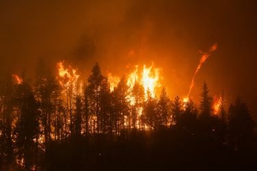 California enfrenta incendio forestal más grande de 2022: miles de residentes evacuados