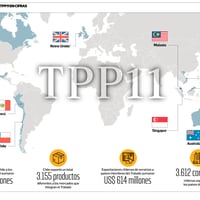 Balance a un año del TPP11: Envíos de Chile al bloque llegan a US$13 mil millones