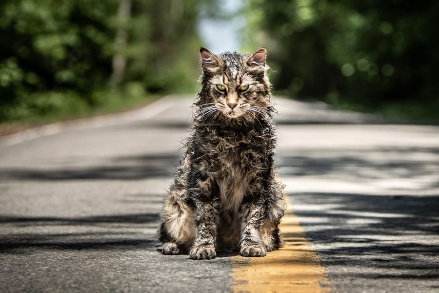 pet-sematary