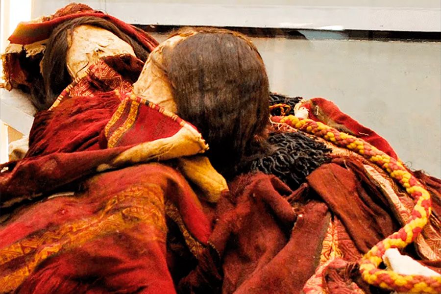 Restos enigmáticos: exploración del fascinante mundo de las antiguas momias de Tarim