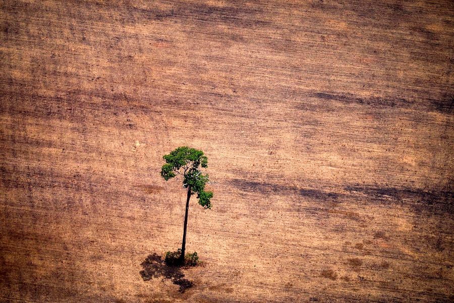 FILES-BRAZIL-AMAZON-LOGGING