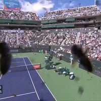 Una insólita invasión de abejas ataca a Carlos Alcaraz y Alexander Zverev en Indian Wells