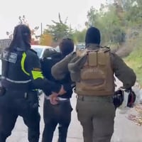 Detienen a dos delincuentes por violento asalto a mujer de 83 años en su casa de Lo Curro: la intimidaron con armas de fuego y la maniataron
