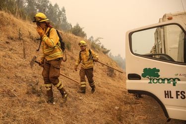 Declaran alerta roja en Curicó por incendio forestal cercano a condominio