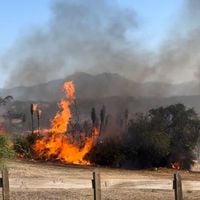 Más de mil hectáreas han sido afectadas por incendios forestales en la Región de Valparaíso