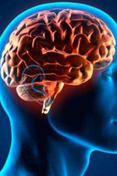 Neurociencia Y Las Tres Senales De Un Cerebro Estresado La Tercera