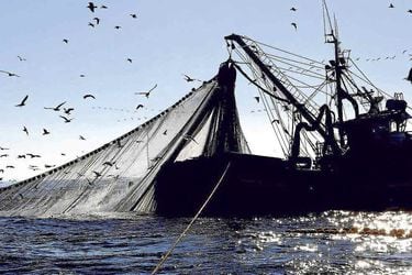 Supremazo: justicia acoge reclamo de artesanales y pone fin a histórico “privilegio” de la pesca industrial en el norte