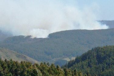 Incendio en Lebu ha consumido 70 hectáreas: sería intencional y aún no está controlado 