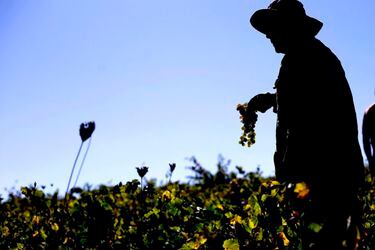 Ventas de pymes exportadoras crecieron 14% en 2018