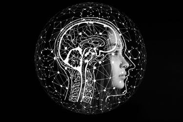 Columna de Hieab Adams: “¿Qué está sucediendo dentro del cerebro?”