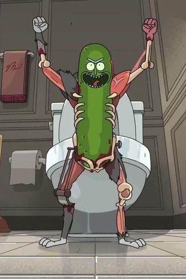 pickle rick