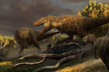 Descubren temible especie de tiranosaurio: científicos creen que es un ancestro del T. Rex