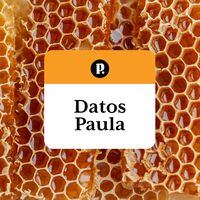 De la colmena al hogar: cuatro Datos Paula en torno a las abejas