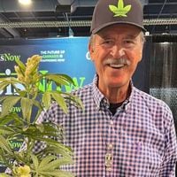 Vicente Fox: “Estamos en un punto incierto en cuanto a la legalización de la marihuana en México”