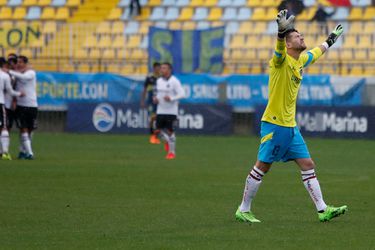 salazar,Colo Colo, everton