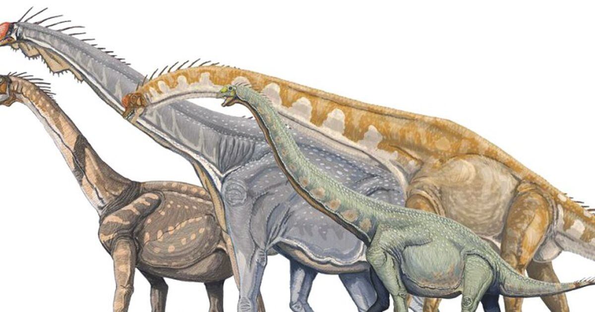 Estudio propone cambios en árbol genealógico y origen de los dinosaurios -  La Tercera