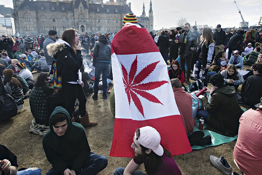 Canadá y su primer año con marihuana legal: ¿Se apaga la fiebre verde? - La  Tercera