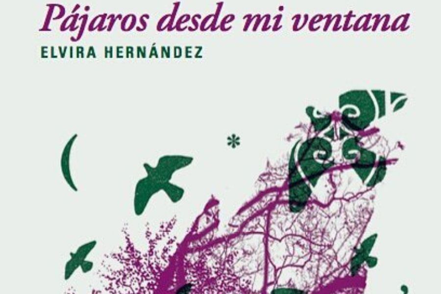 El Vuelo De Las Garzas Poema Pájaros desde mi ventana: impajaritable - La Tercera