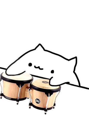 bongo