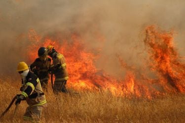 Superficie afectada por incendios aumenta casi en 30.000% en algunas regiones del país