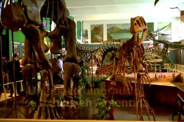 Un nuevo dinosaurio es exhibido en Argentina