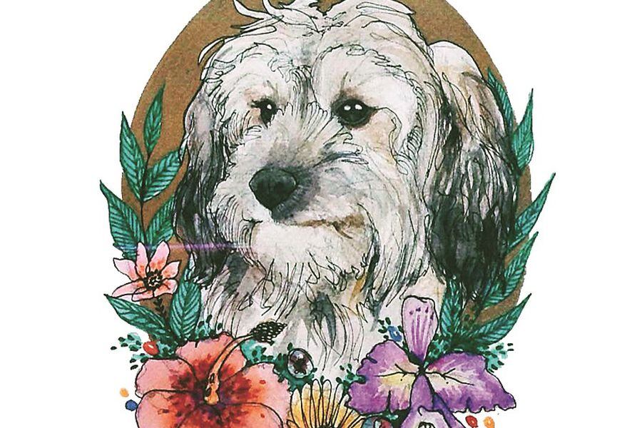 ilustracion perro