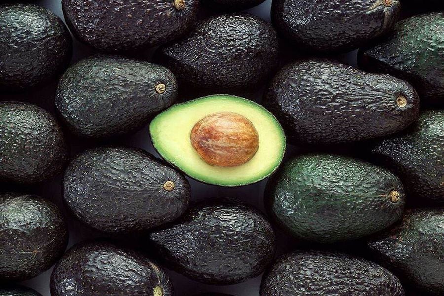 palta