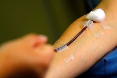 ¿Cómo funciona la donación de sangre? Este es el proceso en Chile