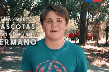 "Más que mascotas son como un hermano": Dueño de "Chimuelo" protagoniza campaña de gobierno para poner chips a animales