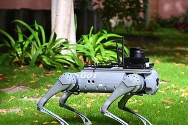 Tefi: el perro robot que asiste a personas con discapacidad