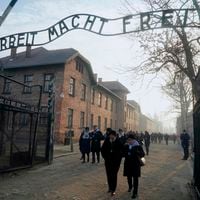Testimonios e historias: los libros a 75 años de la liberación de Auschwitz
