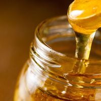 Estudio alerta que en últimos 25 años Chile regristra abrupta caída de hasta 90% en producción de miel 