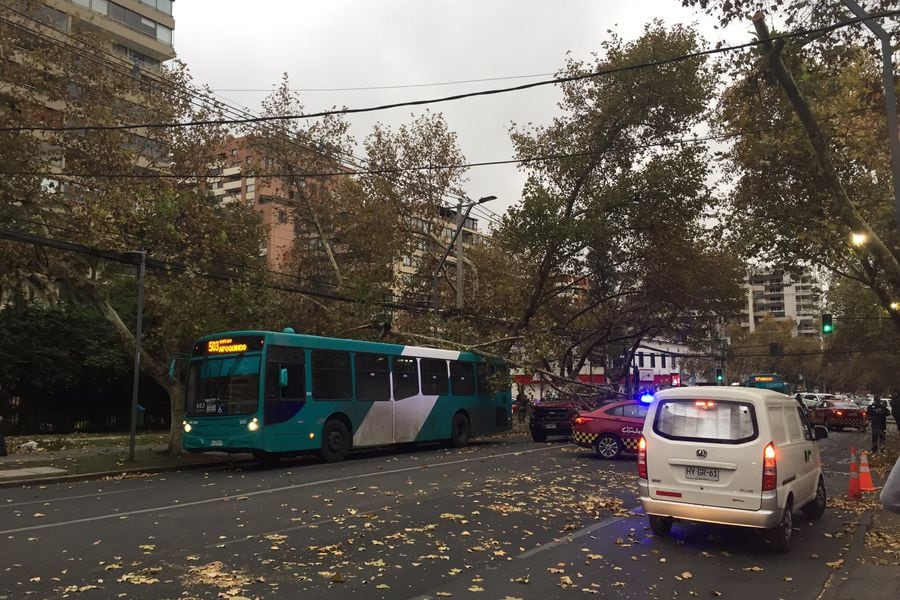 Una de las consecuencias del intenso viento registrado esta tarde: un árbol cayó sobre un bus de Red en el sector oriente. Foto: imagen de Twitter / @delavegacentral