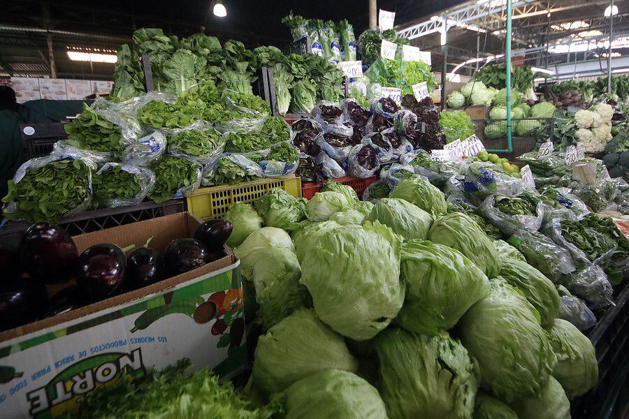 El rol de la alimentación en la prevención del cáncer / Foto: Agencia Uno