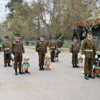 Parada Militar 2023: revisa las postales de la ceremonia y el desfile de cachorros policiales 