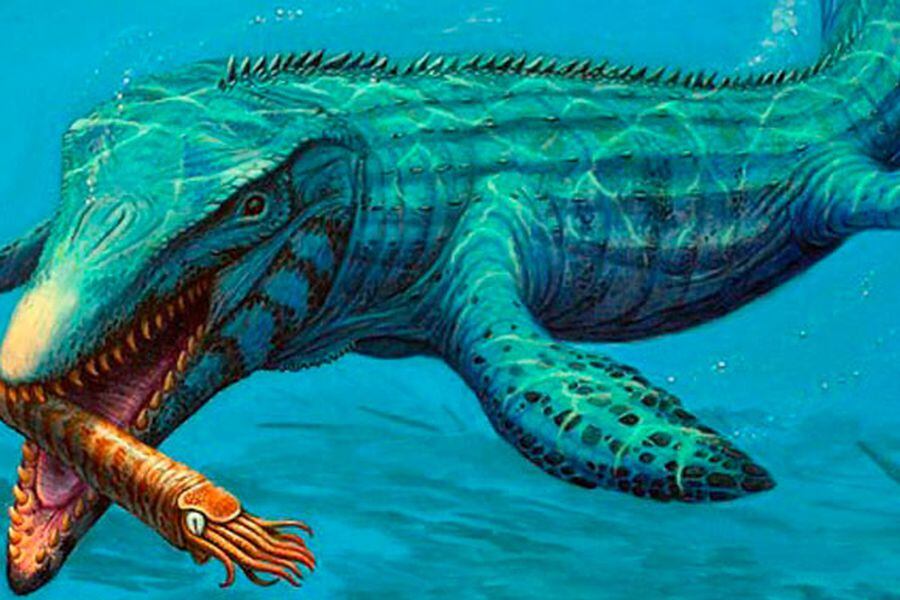 mosasaurus